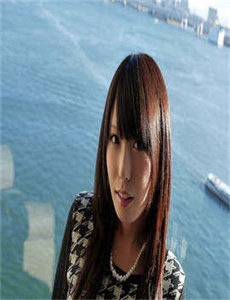 不速来客2010